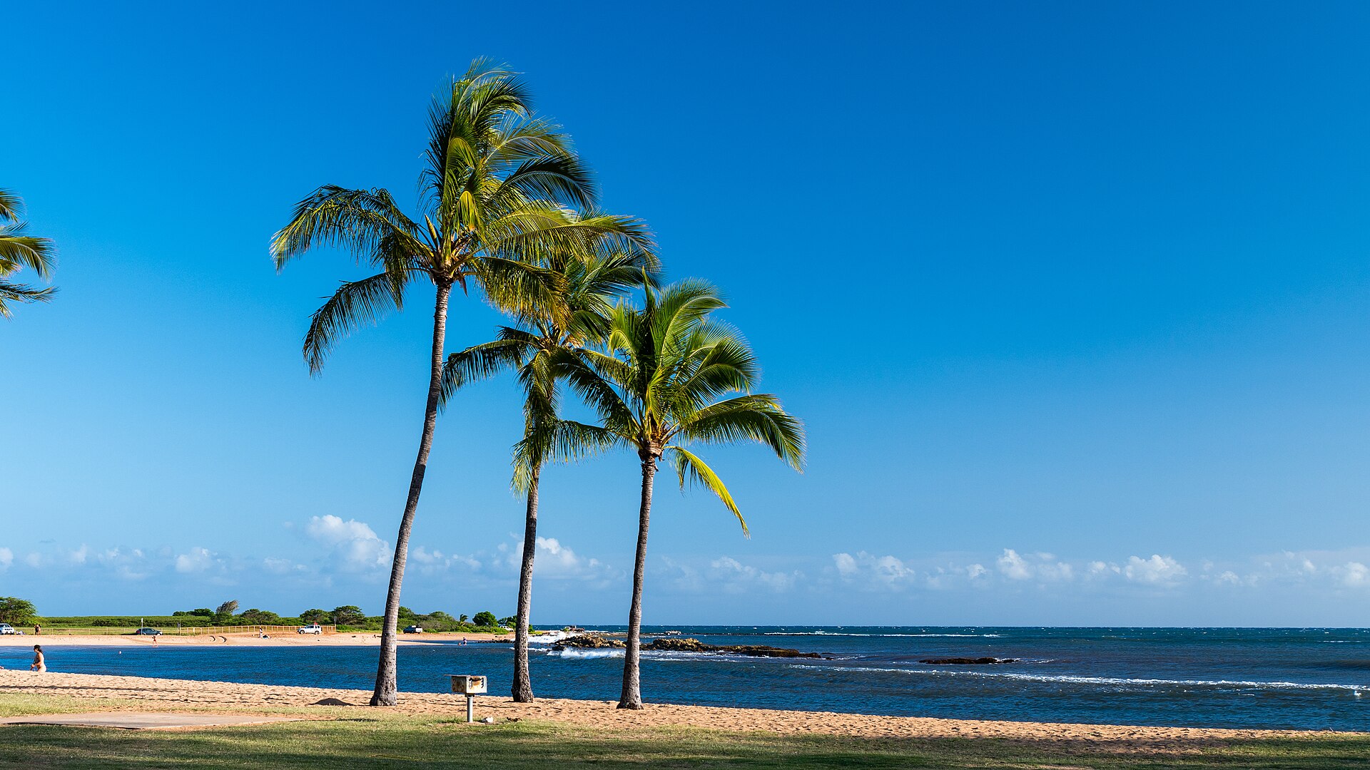 Salt Pond Beach Park